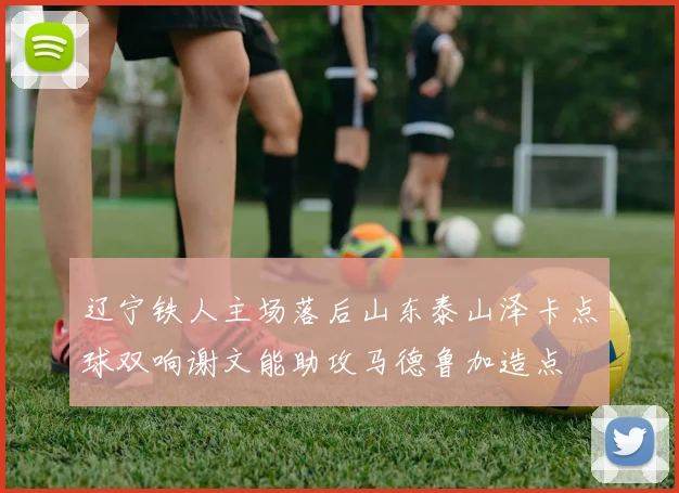 辽宁铁人主场落后山东泰山泽卡点球双响谢文能助攻马德鲁加造点